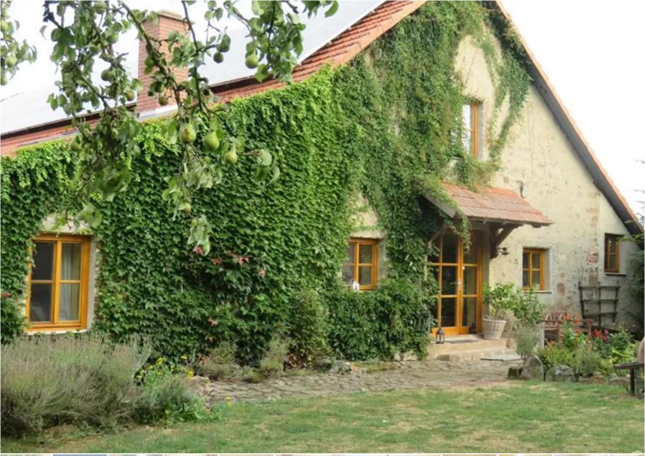 Knüllwald Haus Falkenhof מראה חיצוני תמונה